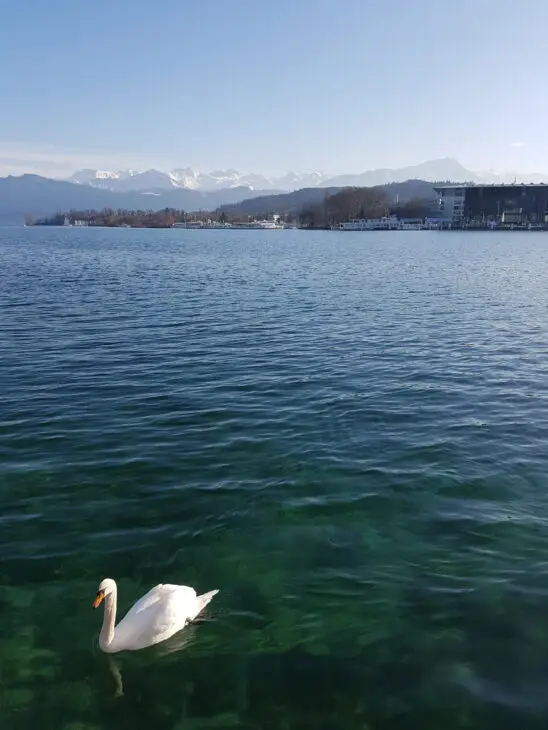 schönes Aussicht